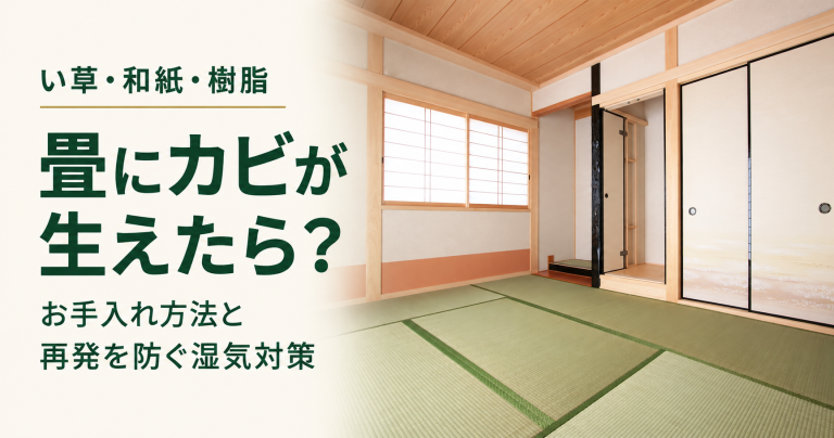 い草・和紙・樹脂の畳にカビが生えたら？ お手入れ方法と再発を防ぐ湿気対策